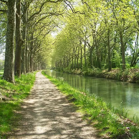 Domaine Ferrabouc Mas-Saintes-Puelles