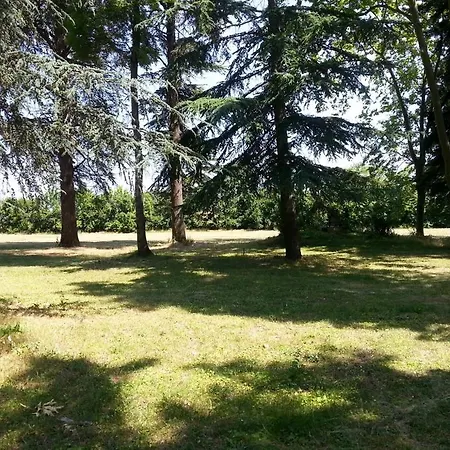 Domaine Ferrabouc Mas-Saintes-Puelles